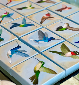 COLORS OF THE GARDEN